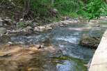Discover tranquility in this serene natural setting, featuring a babbling brook flowing through a lush, wooded landscape.