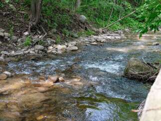 Discover tranquility in this serene natural setting, featuring a babbling brook flowing through a lush, wooded landscape.