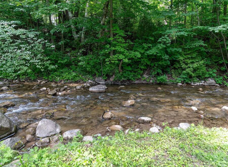 Escape to nature with this serene property featuring a tranquil stream flowing through lush greenery.