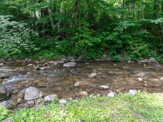Escape to nature with this serene property featuring a tranquil stream flowing through lush greenery.