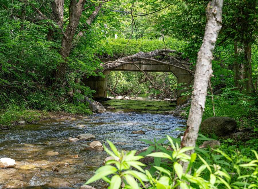 Discover a serene natural escape with this picturesque property featuring a charming creek flowing under a rustic bridge.
