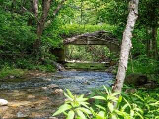 Discover a serene natural escape with this picturesque property featuring a charming creek flowing under a rustic bridge.