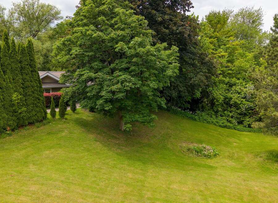 Discover this charming property featuring a well-maintained lawn and lush greenery, perfect for outdoor enjoyment.