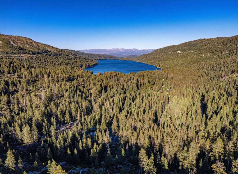 Experience the serene beauty of this stunning lakefront property nestled amidst a dense evergreen forest.