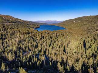 Experience the serene beauty of this stunning lakefront property nestled amidst a dense evergreen forest.