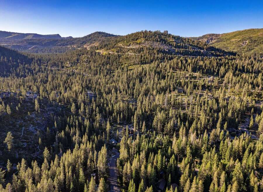 Nestled within a dense forest of towering pine trees, this property offers a secluded mountain retreat.