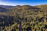 Nestled within a dense forest of towering pine trees, this property offers a secluded mountain retreat.