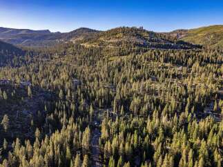 Nestled within a dense forest of towering pine trees, this property offers a secluded mountain retreat.