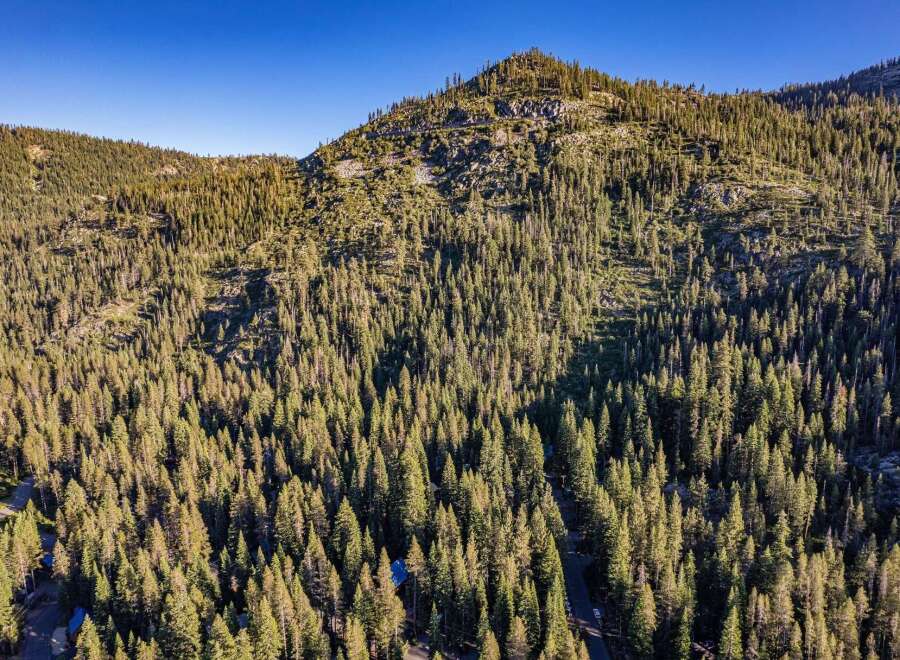 Discover this stunning mountain property nestled amidst a dense forest of evergreen trees.