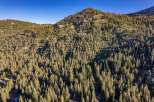 Discover this stunning mountain property nestled amidst a dense forest of evergreen trees.