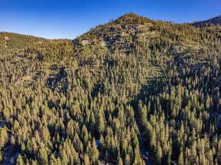 Discover this stunning mountain property nestled amidst a dense forest of evergreen trees.
