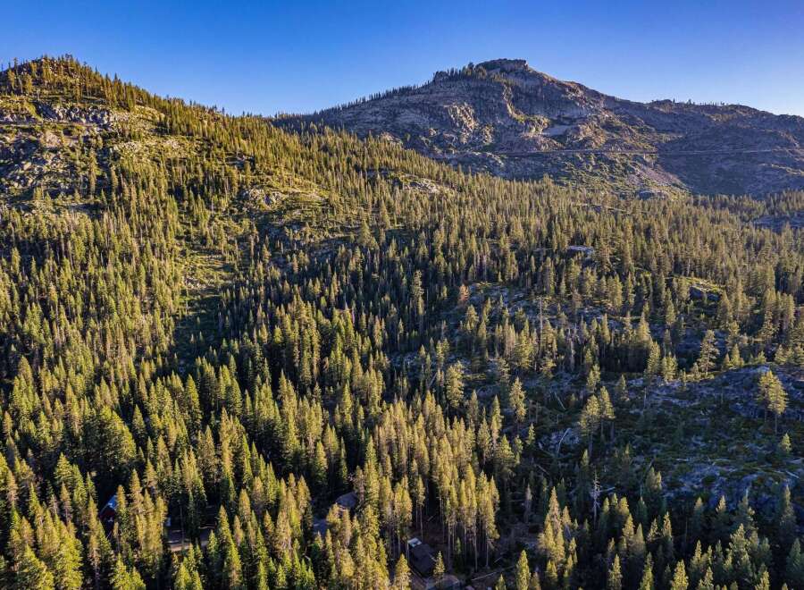 Nestled amidst a dense forest of evergreen trees, this property offers a serene mountain retreat.