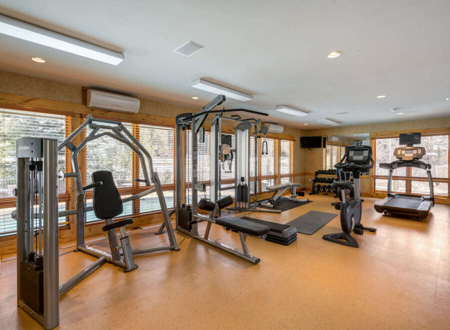 This home gym features a variety of Life Fitness equipment, including a multi-station weight machine, a recumbent bike, and treadmills, perfect for maintaining your fitness routine without leaving home.