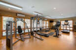 This home gym features a variety of Life Fitness equipment, including a multi-station weight machine, a recumbent bike, and treadmills, perfect for maintaining your fitness routine without leaving home.