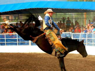 Experience the thrill of the rodeo with this action-packed image.