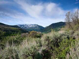 Discover breathtaking mountain views from this stunning property, featuring snow-capped peaks and lush green valleys.