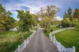 Discover this stunning property featuring a long, tree-lined gravel driveway leading to a beautiful home.