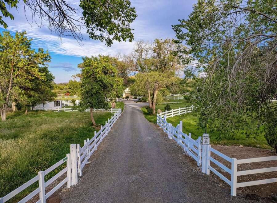 Discover this charming property featuring a long, tree-lined gravel driveway leading to a picturesque white farmhouse.