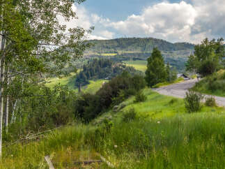 Discover a serene mountain retreat with breathtaking views and lush greenery.