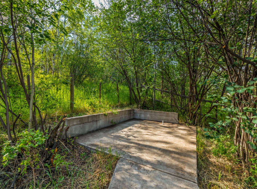 Discover a unique outdoor space with a concrete foundation and surrounding natural greenery.