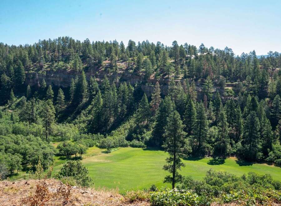 Discover this stunning property nestled amidst a lush forest with a picturesque golf course.