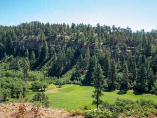 Discover this stunning property nestled amidst a lush forest with a picturesque golf course.