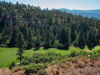 Nestled amidst a lush pine forest, this property offers a serene escape with a beautifully manicured golf course.