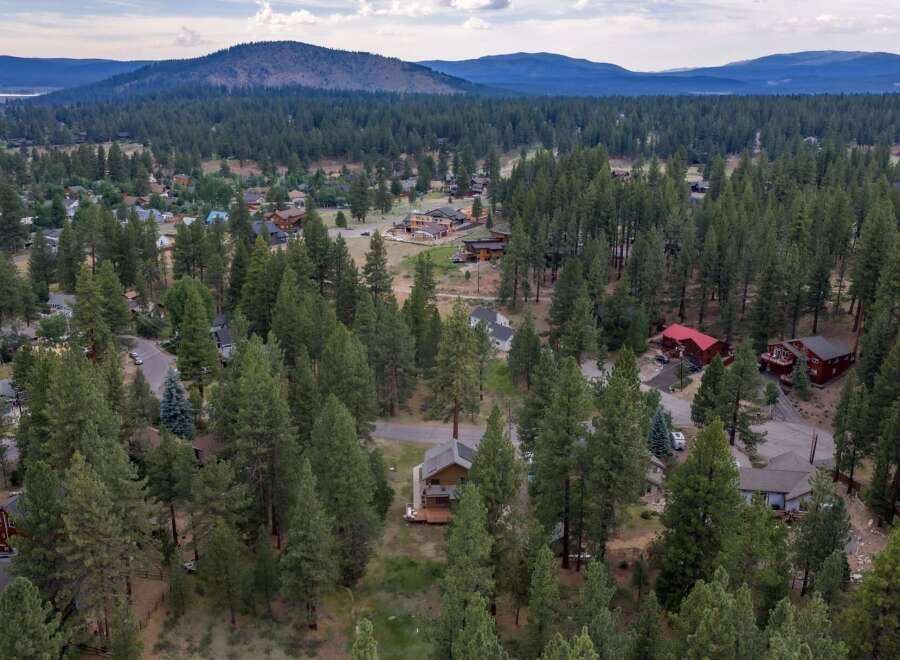 Nestled amidst a dense forest, this aerial view showcases a charming neighborhood with homes scattered among tall pine trees.