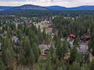 Nestled amidst a dense forest, this aerial view showcases a charming neighborhood with homes scattered among tall pine trees.