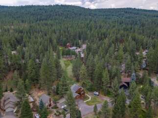 Nestled amidst a dense forest, this property offers a serene retreat with multiple homes scattered among towering pine trees.
