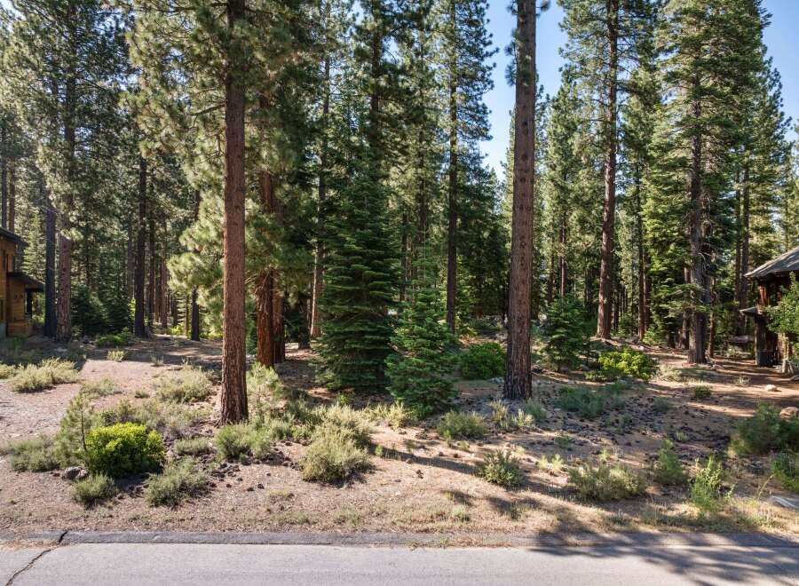 Nestled within a serene pine forest, this property offers a tranquil escape with its natural surroundings.