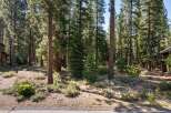 Nestled within a serene pine forest, this property offers a tranquil escape with its natural surroundings.