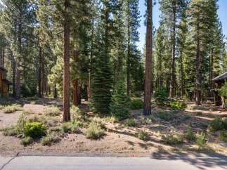 Nestled within a serene pine forest, this property offers a tranquil escape with its natural surroundings.