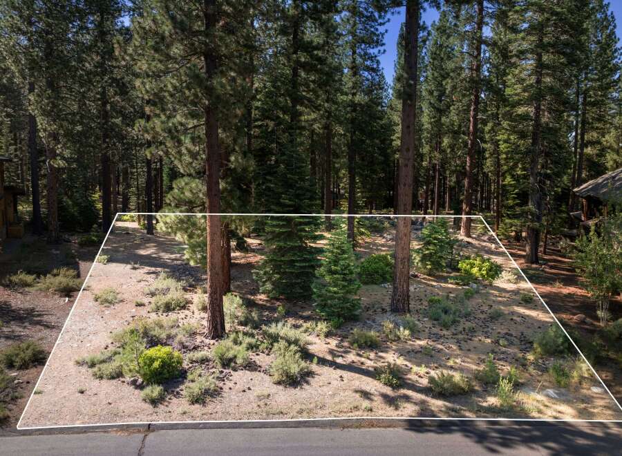 Discover this picturesque wooded lot, perfect for building your dream home amidst towering pine trees.