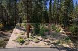 Discover this picturesque wooded lot, perfect for building your dream home amidst towering pine trees.