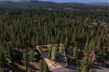 Discover this prime parcel nestled amidst a dense forest of mature pine trees, offering unparalleled privacy and natural beauty.