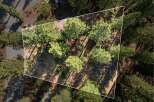Discover this stunning aerial view of a wooded property, perfect for building your dream home.