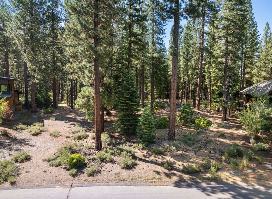 Nestled amidst a serene pine forest, this property offers a tranquil retreat with its natural surroundings.