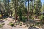 Nestled amidst a serene pine forest, this property offers a tranquil retreat with its natural surroundings.
