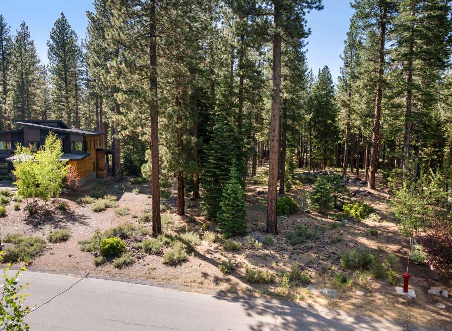 Nestled amidst a serene pine forest, this modern architectural gem offers a unique blend of natural beauty and contemporary design.