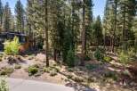 Nestled amidst a serene pine forest, this modern architectural gem offers a unique blend of natural beauty and contemporary design.