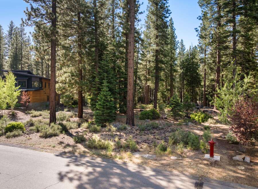 Nestled amidst a serene pine forest, this modern architectural gem offers a unique living experience.