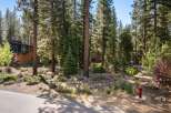 Nestled amidst a serene pine forest, this modern architectural gem offers a unique living experience.