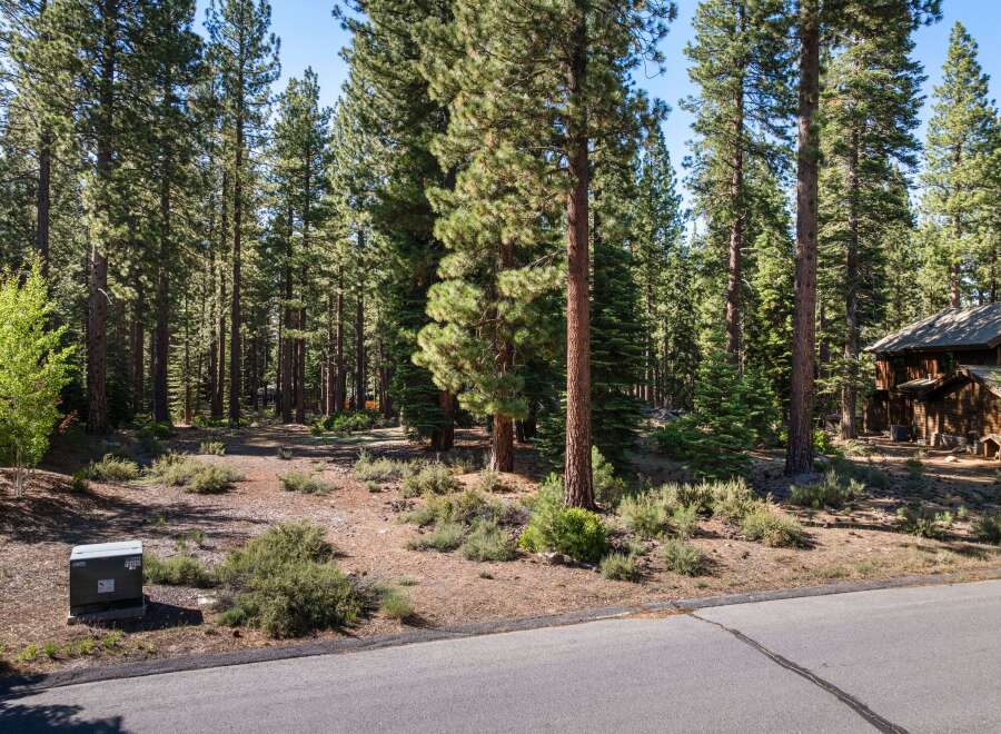 Nestled within a serene pine forest, this property offers a tranquil escape with its natural surroundings.