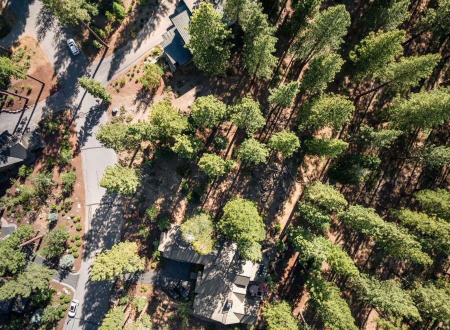 Discover this stunning aerial view of a secluded property nestled amongst mature pine trees.
