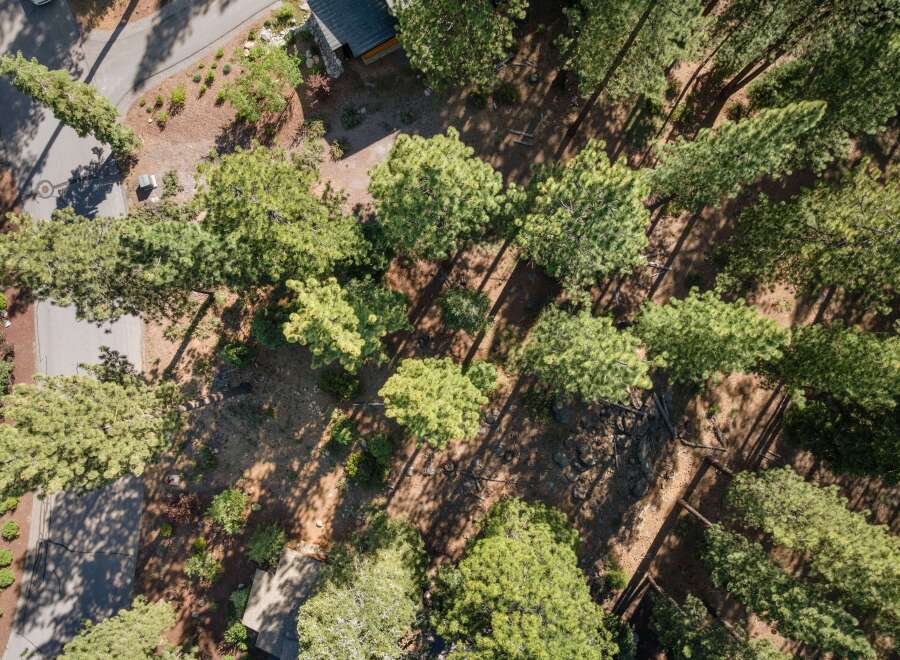 Discover this stunning aerial view of a property nestled within a serene pine forest.