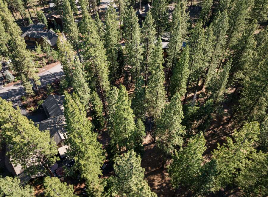 Nestled amidst a dense forest of mature pine trees, this property offers a secluded and serene mountain retreat.