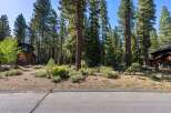 Nestled amidst towering pine trees, this charming property offers a serene mountain retreat.