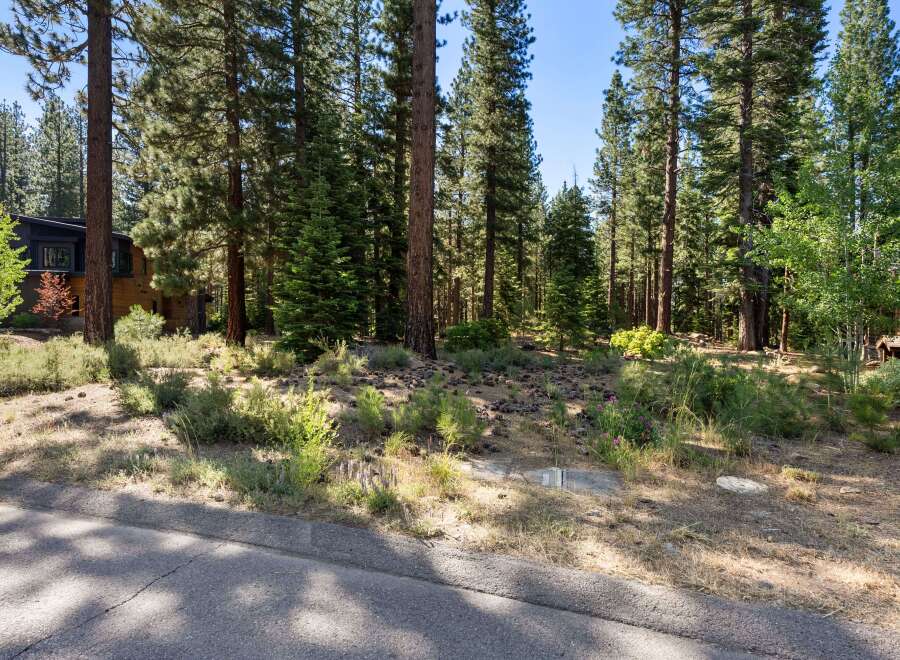 Nestled within a serene pine forest, this property offers a tranquil retreat with a modern architectural home.
