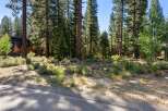 Nestled within a serene pine forest, this property offers a tranquil retreat with a modern architectural home.